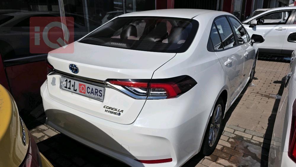 تويوتا كورولا